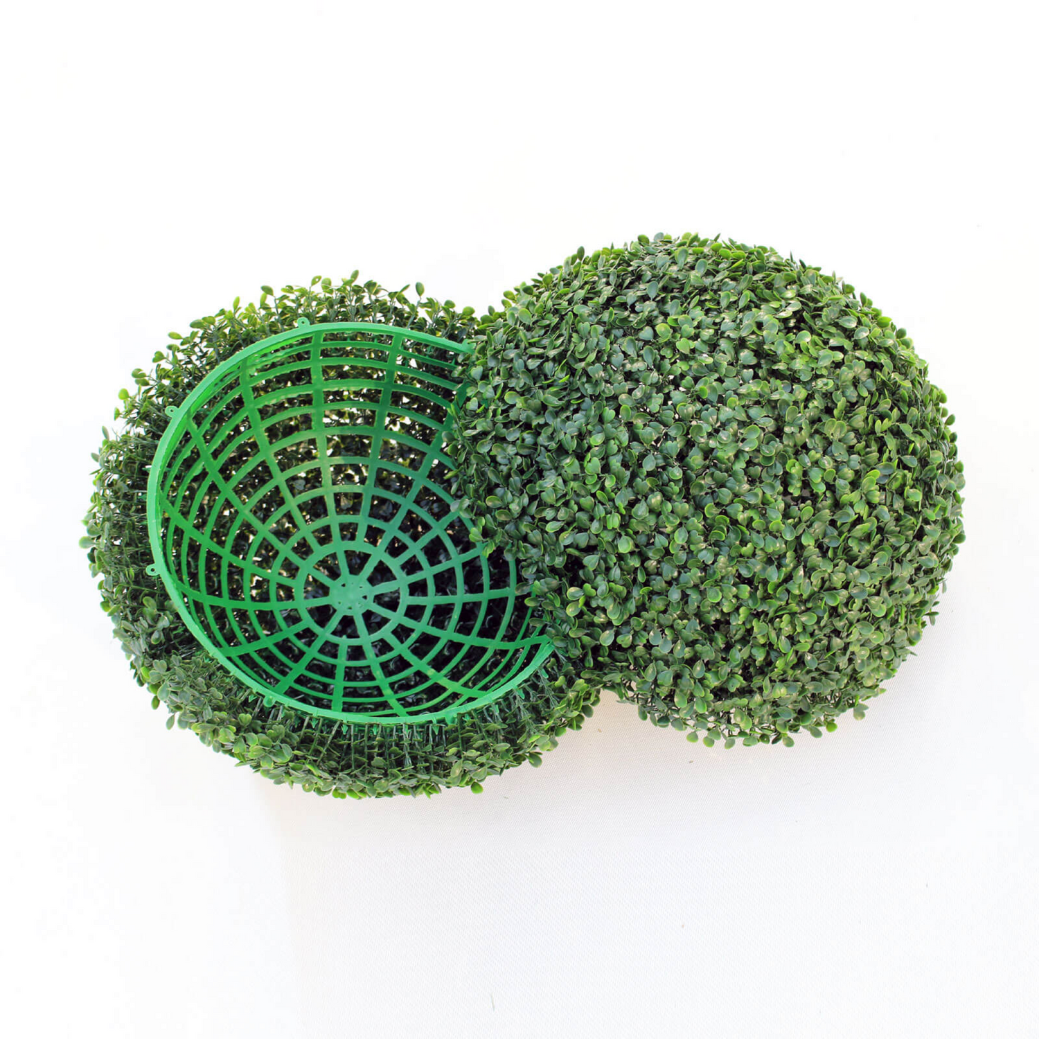 Boxwood Ball