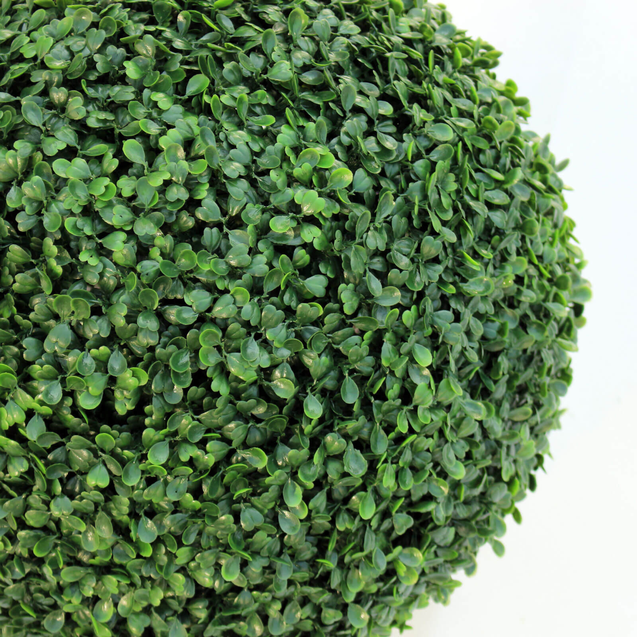 Boxwood Ball