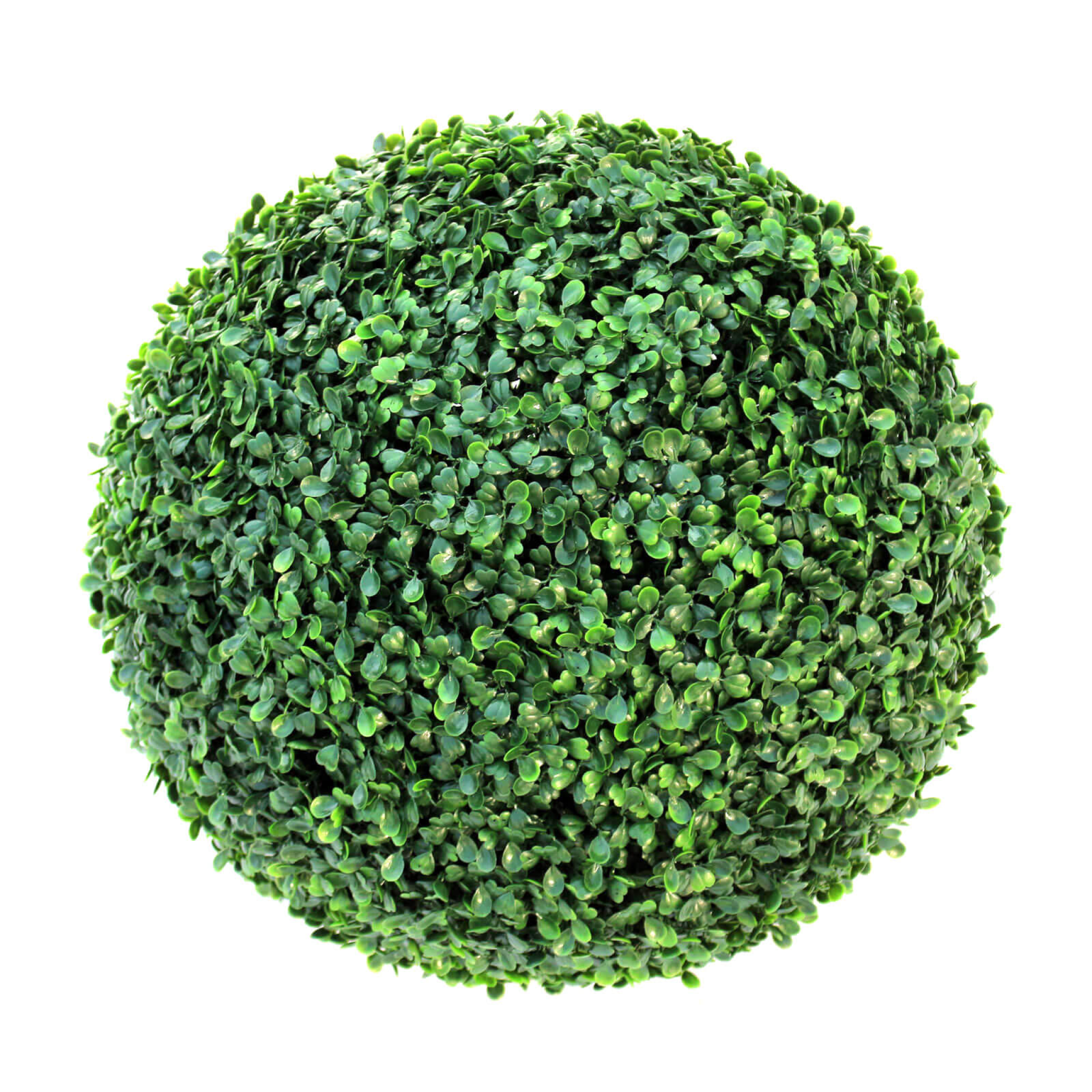 Boxwood Ball