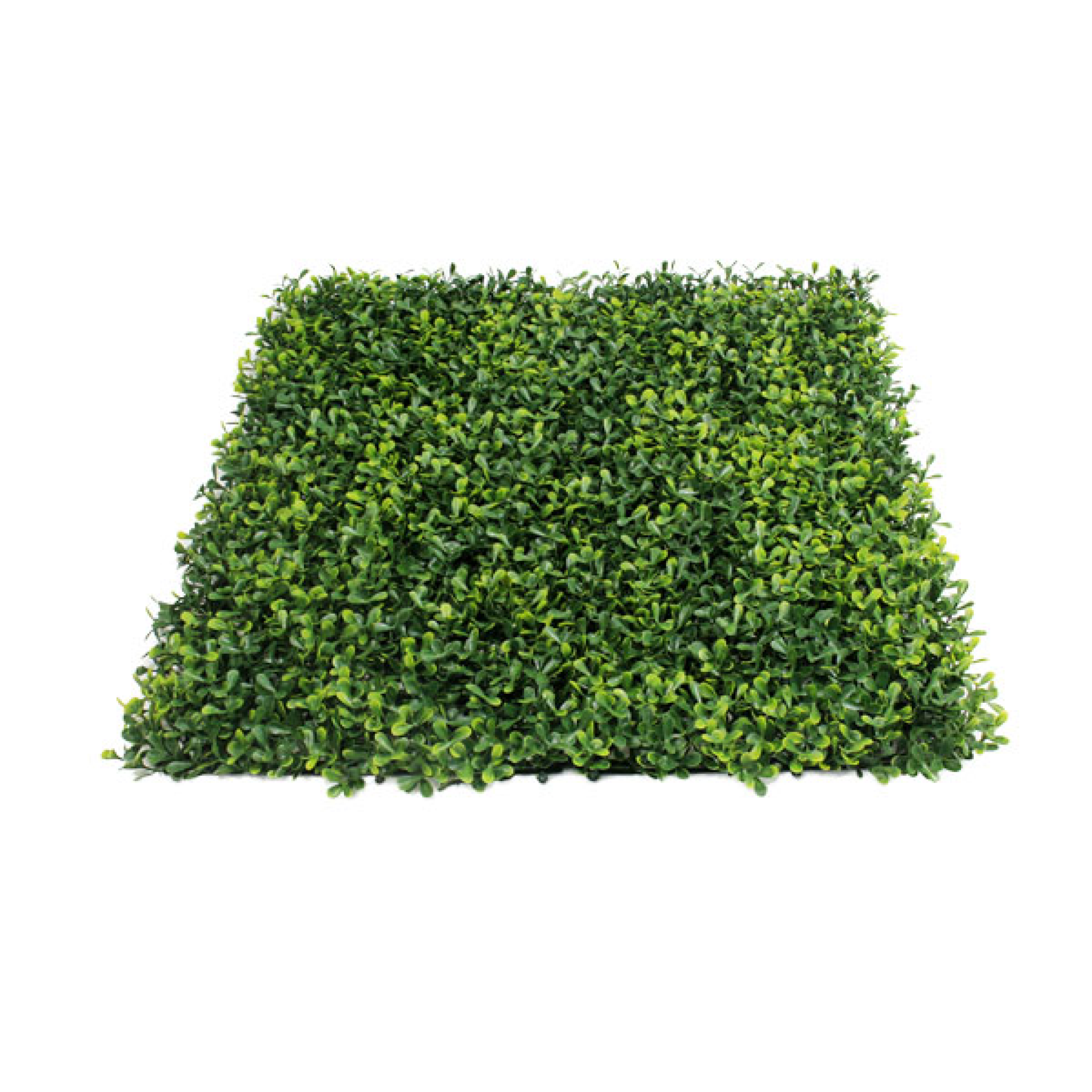 Envywall boxwood panel