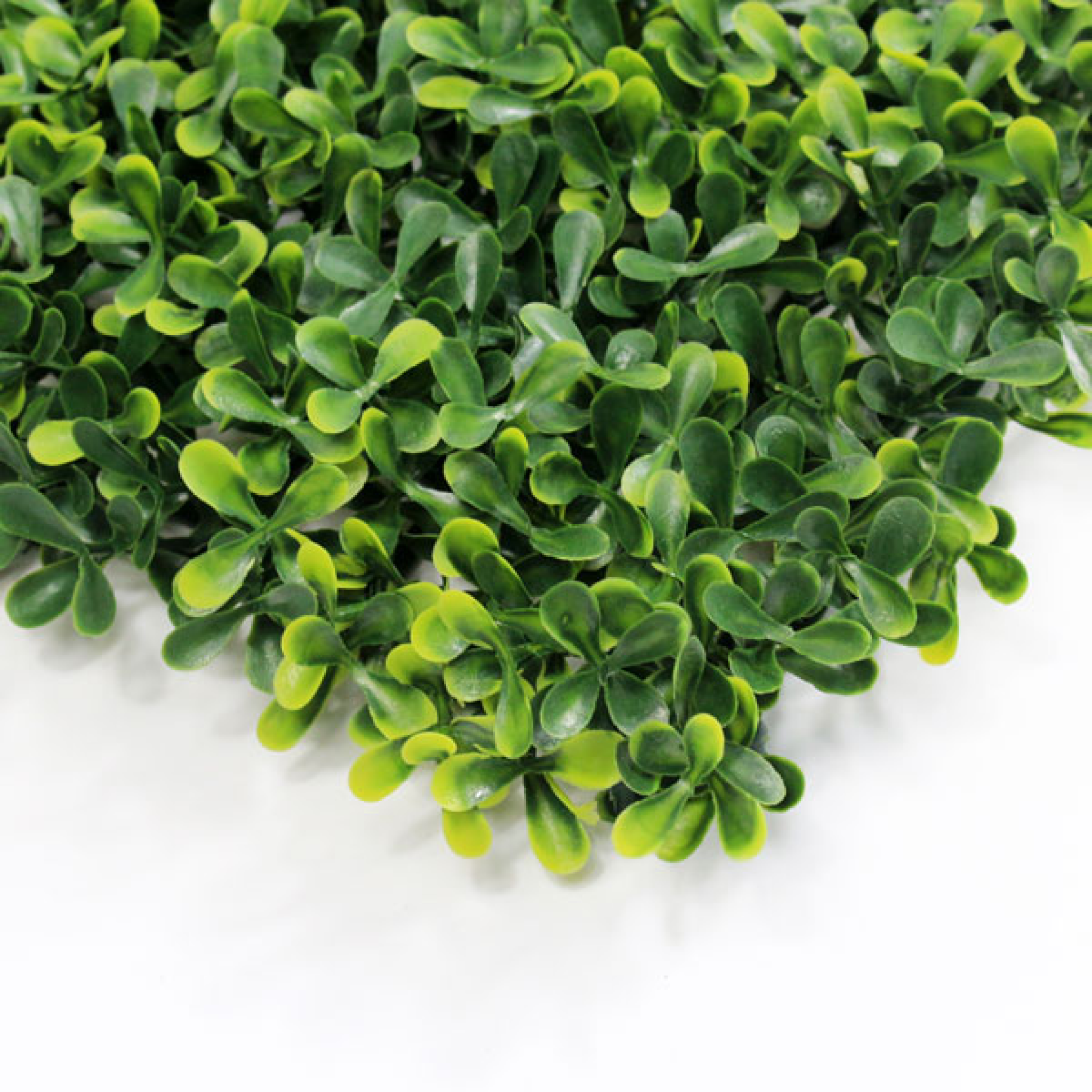 Envywall boxwood panel